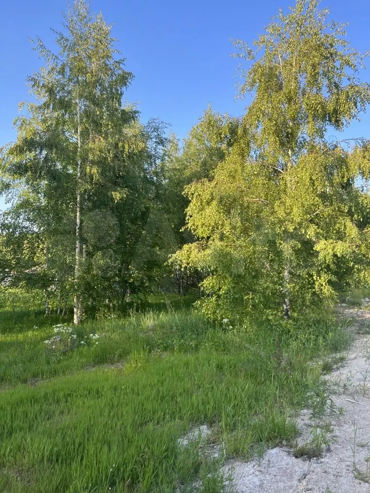 Участок 7 сот. (СНТ, ДНП)